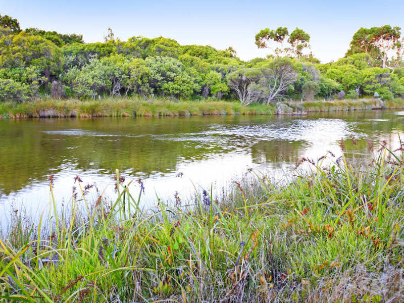 1158 Caves Road, Dunsborough, WA 6281 Property Details