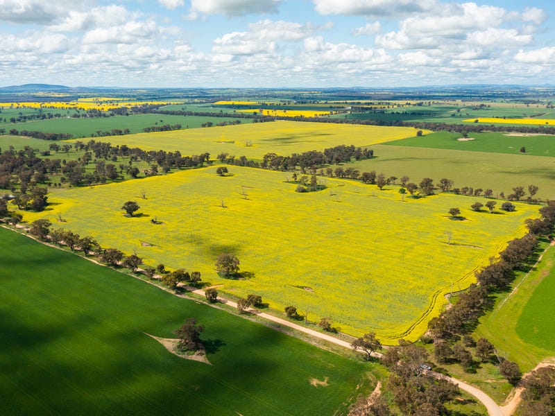 10 & 164, Piggins Road, Hopefield, NSW 2646 Property Details