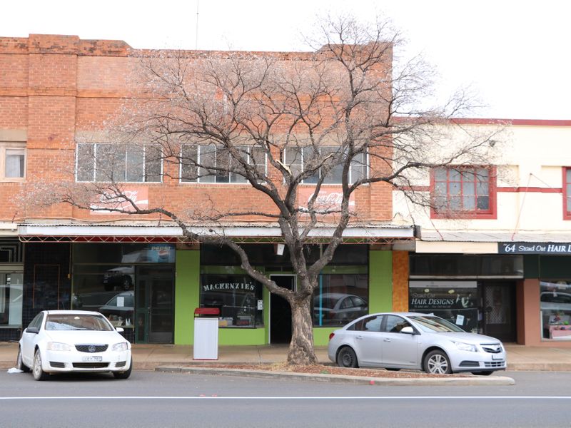 66 Caswell Street, Peak Hill, NSW 2869