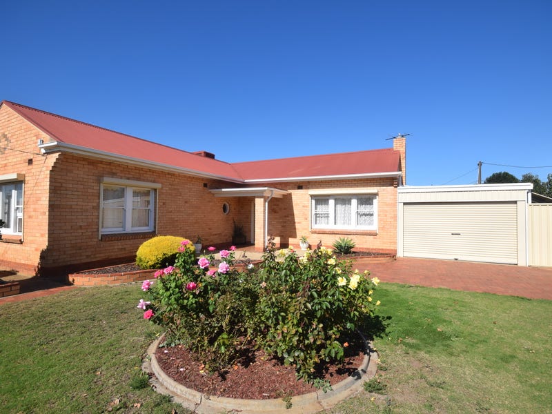 31 Collingwood Avenue, Flinders Park, SA 5025