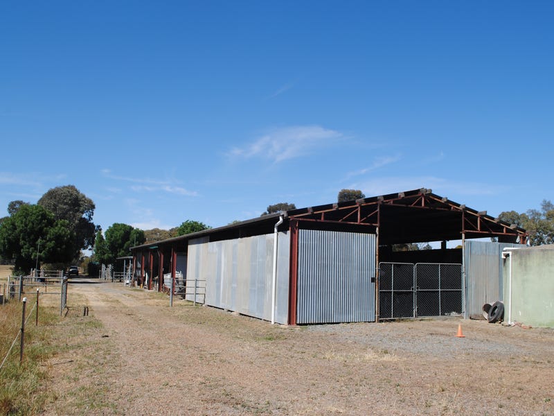 315 Thompson Road, Tallygaroopna, Vic 3634 Property Details