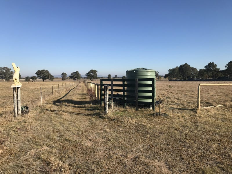 99 Jukes Lane, Cowra, NSW 2794