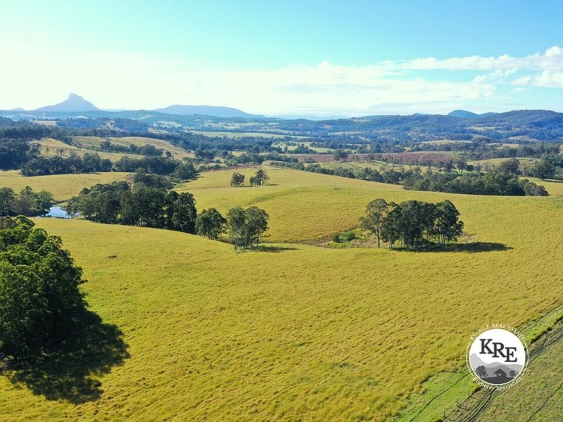 1284 Beaury Creek Road, Woodenbong, NSW 2476 Livestock for Sale