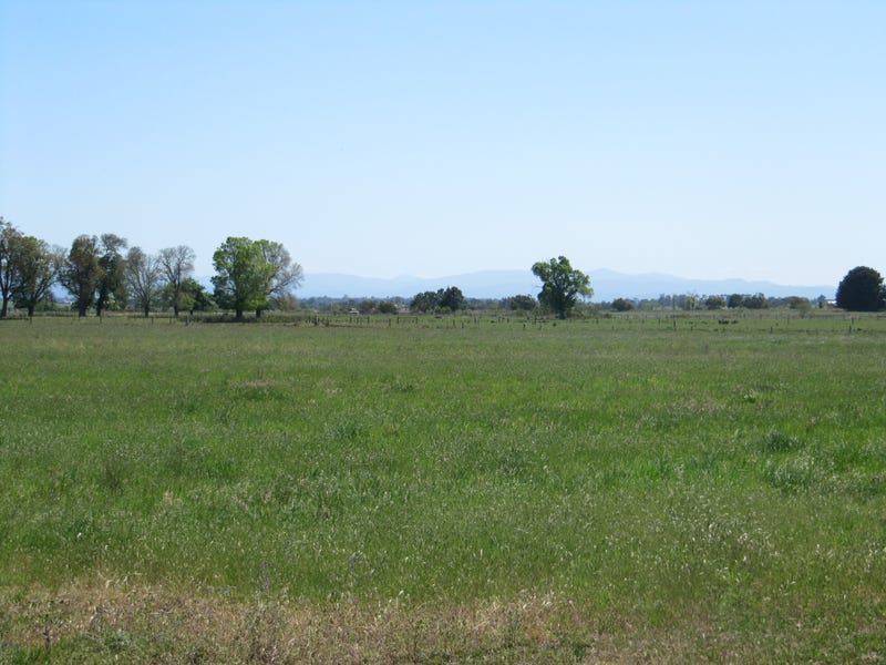 407 MaffraSale Road, Bundalaguah, Vic 3851 Property Details