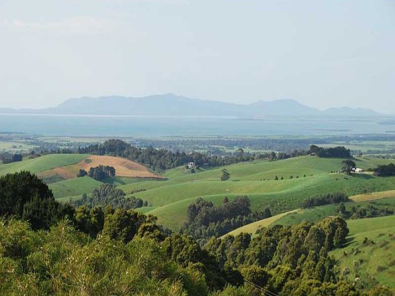 915 Ameys Track, Foster North, VIC 3960