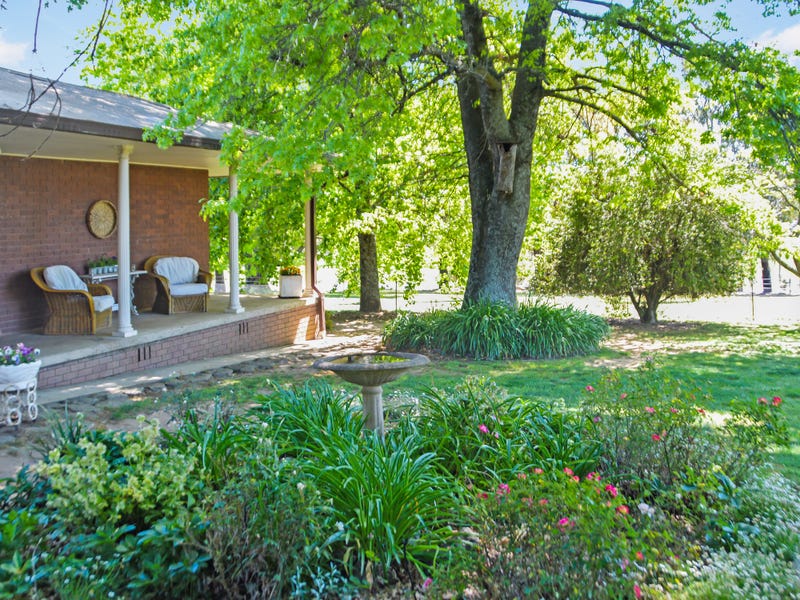 470 Batlow Road, Tumbarumba, NSW 2653 Lifestyle for Sale realestate