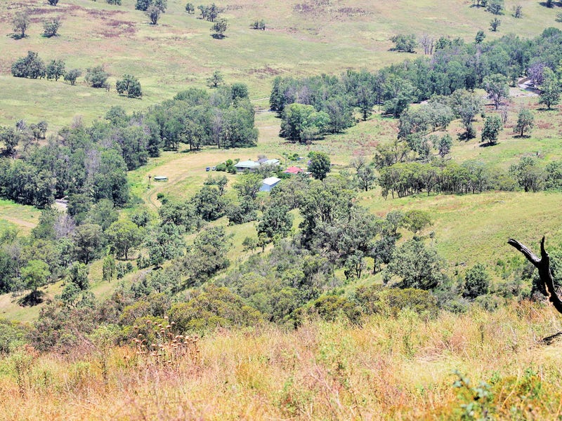 501 Cattle Creek Road, Cassilis, NSW 2329