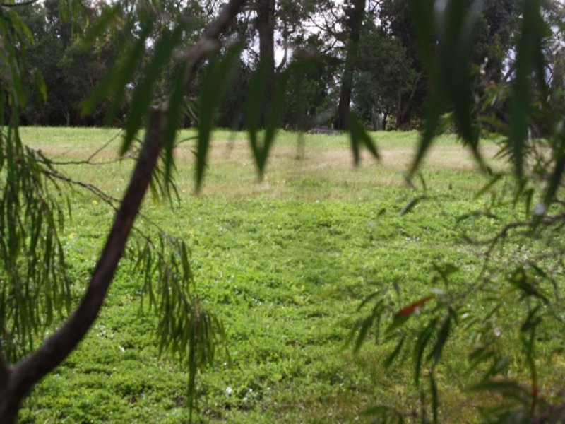 lot-502-or-503-sherrington-crescent-manjimup-wa-6258-property-details