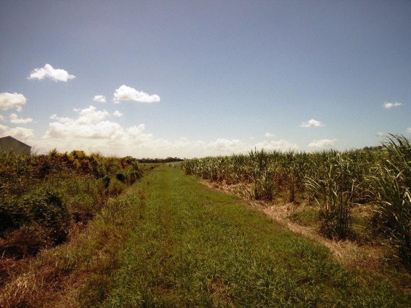 30 Perry Road, Alligator Creek, QLD 4740