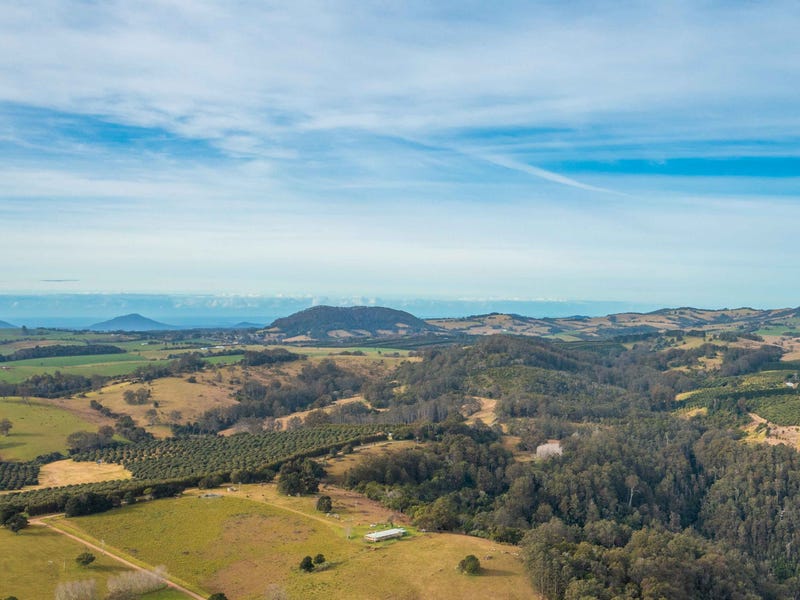 313 Ducks Ridge Road, Comboyne, NSW 2429 Other for Sale realestate