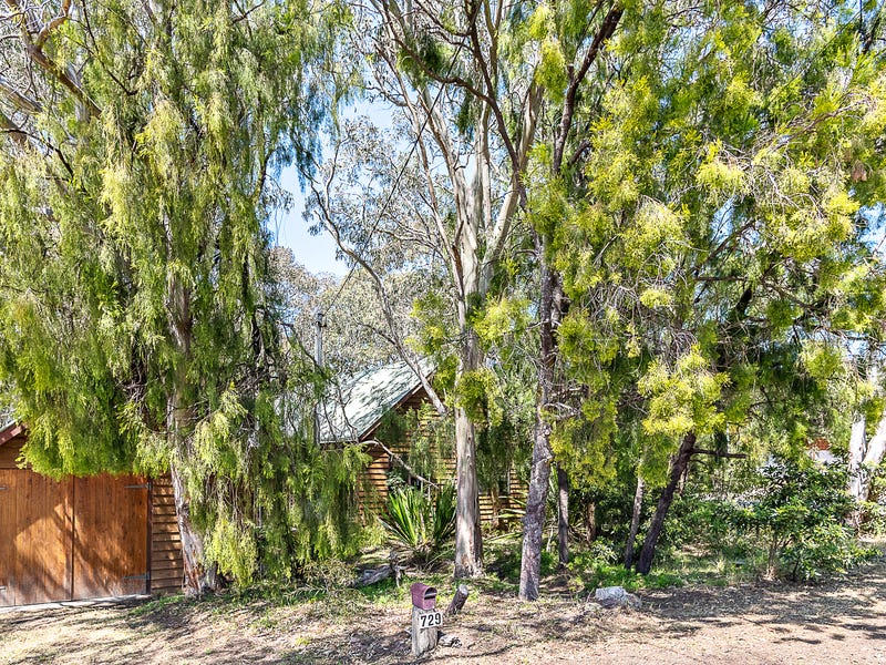 729 Congo Road, Congo, NSW 2537 Property Details