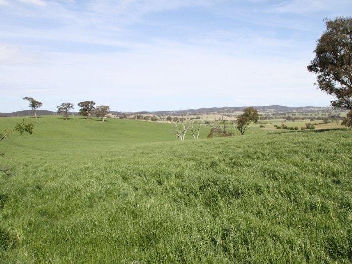 1, 83 Yass Valley Way, Yass, NSW 2582 Lifestyle for Sale realestate