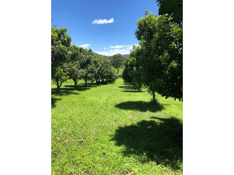 1306 Collins Creek Road, Collins Creek, NSW 2474