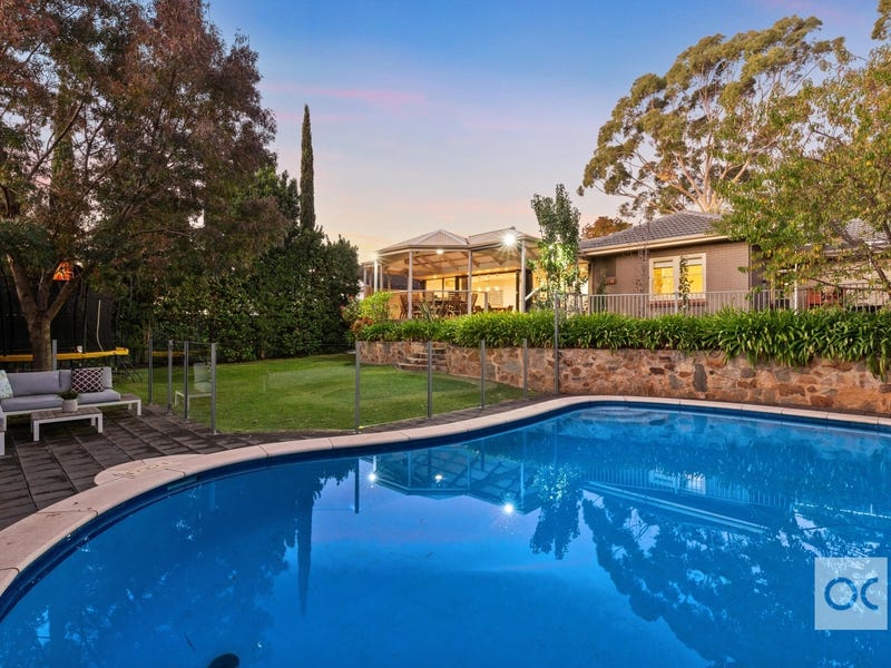 20 Pitcairn Avenue, Urrbrae, SA 5064