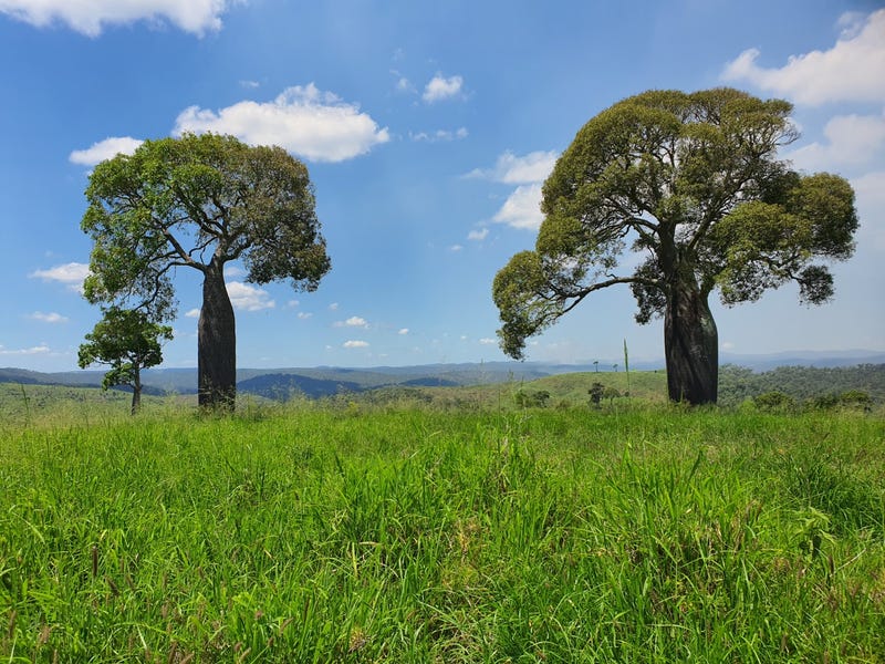 "Stewarts" Tellebang Road, Monto, Qld 4630 Other for Sale