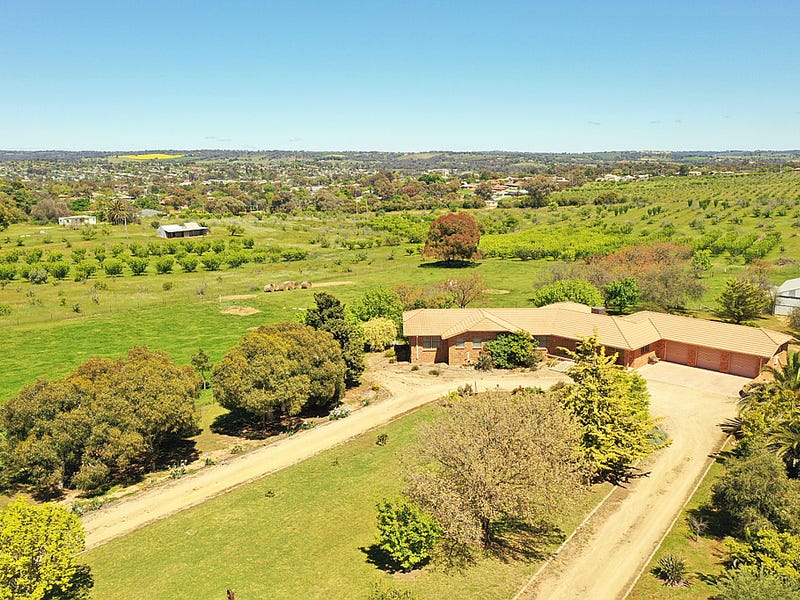 109 Hills Street, Young, NSW 2594