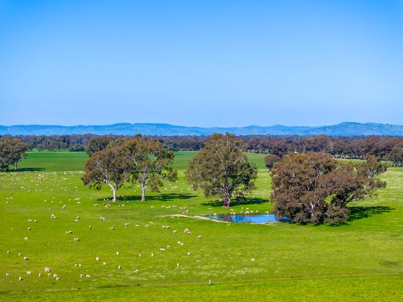 1350 Geodetic Road, Euroa, Vic 3666 Livestock for Sale realestate