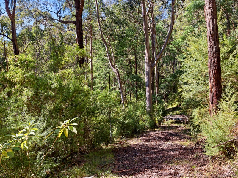 220 Old Warburton Road, Warburton, VIC 3799