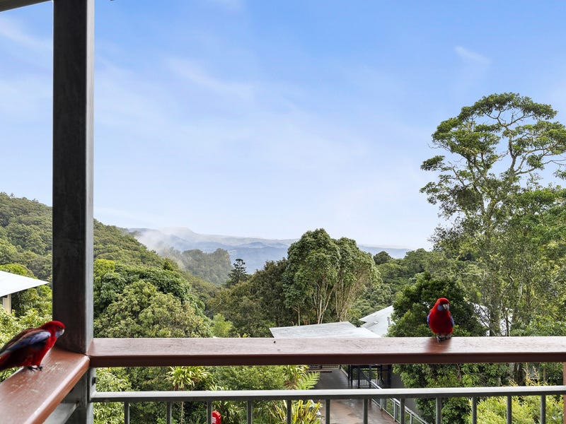 43/3544 Lamington National Park Road, O'Reilly, Qld 4275 House for