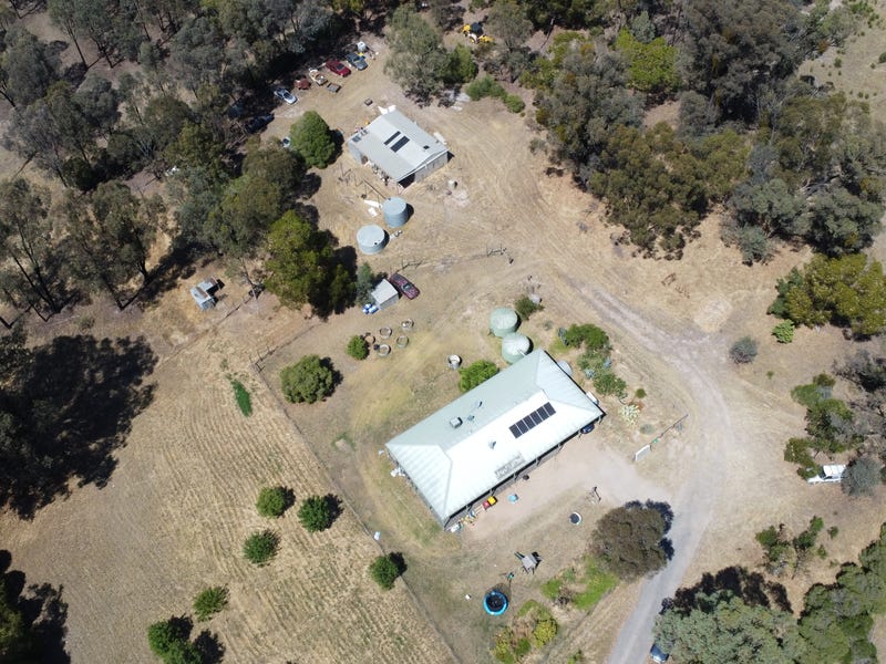 815 TungamahPeechelba Rd, Peechelba, Vic 3678 Livestock for Sale