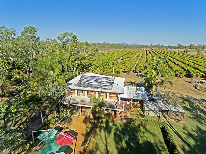 11 Lindleys Road, Etna Creek, QLD 4702