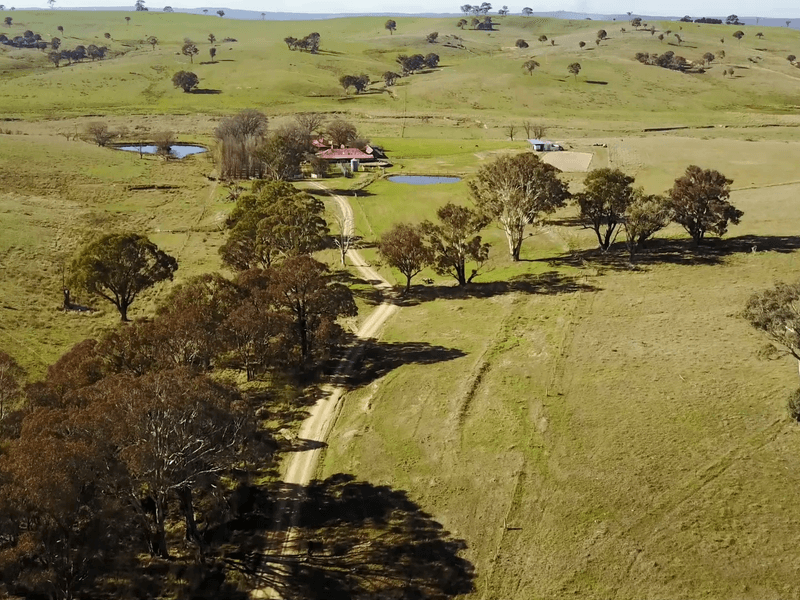 267 Grove Creek Road, Trunkey Creek, NSW 2795