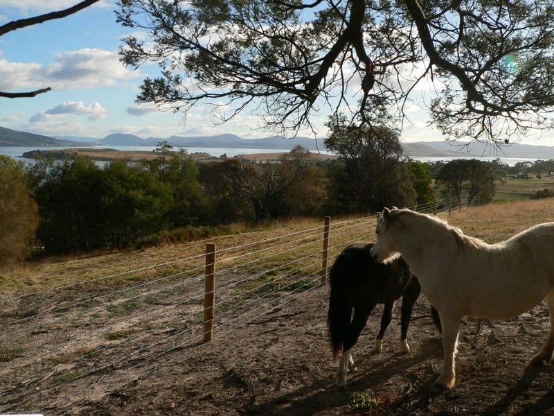 3669A South Arm Road, Opossum Bay, TAS 7023