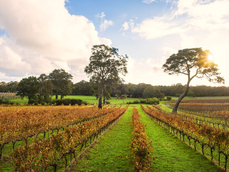 Real Estate & Property for Sale in Cowaramup, WA 6284