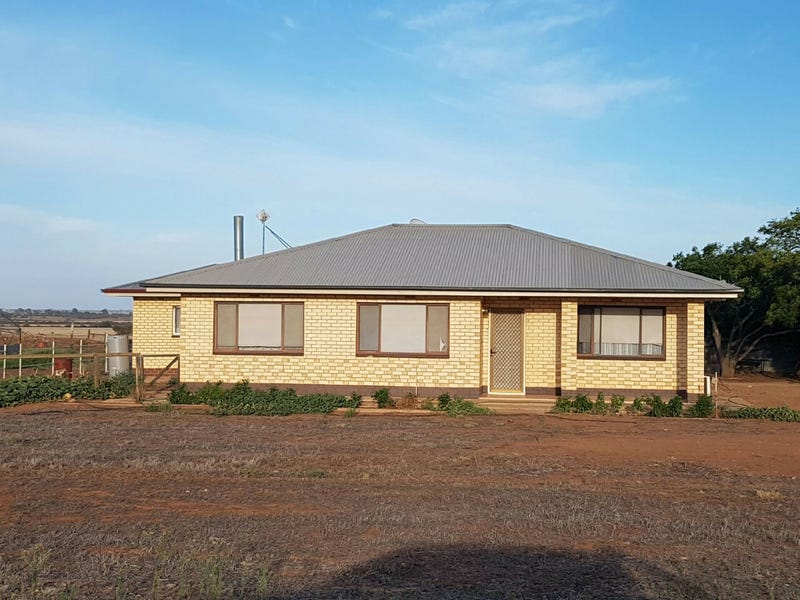 524 Scenic Drive, Warnertown, SA 5540 Property Details