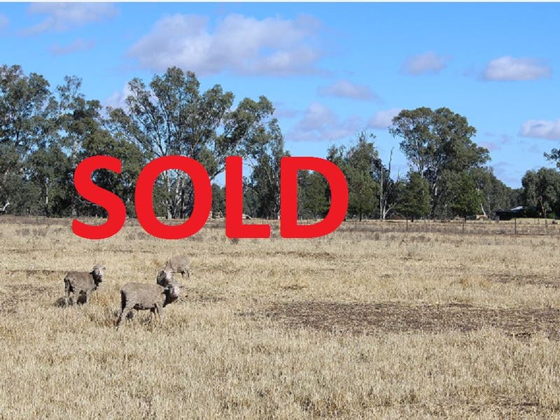 13 Marah Street, North Wagga Wagga, NSW 2650