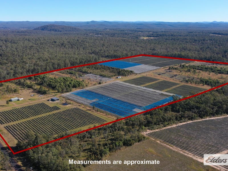 188 Parker Road, Wells Crossing, NSW 2460