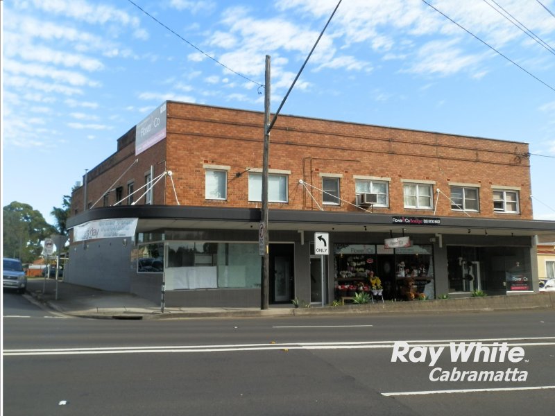 Property 119865529, Carramar, NSW 2163 Property Details