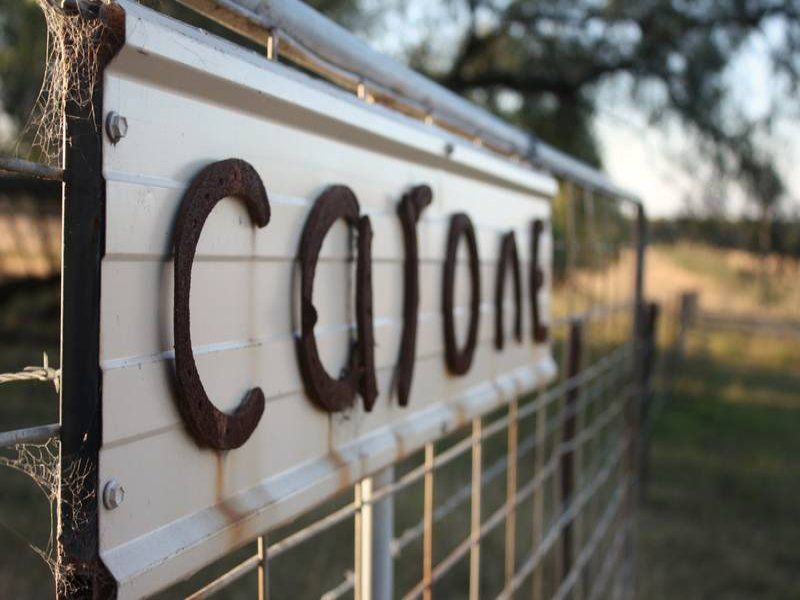 970 Jerrys Plains Road, Singleton, NSW 2330 Property Details