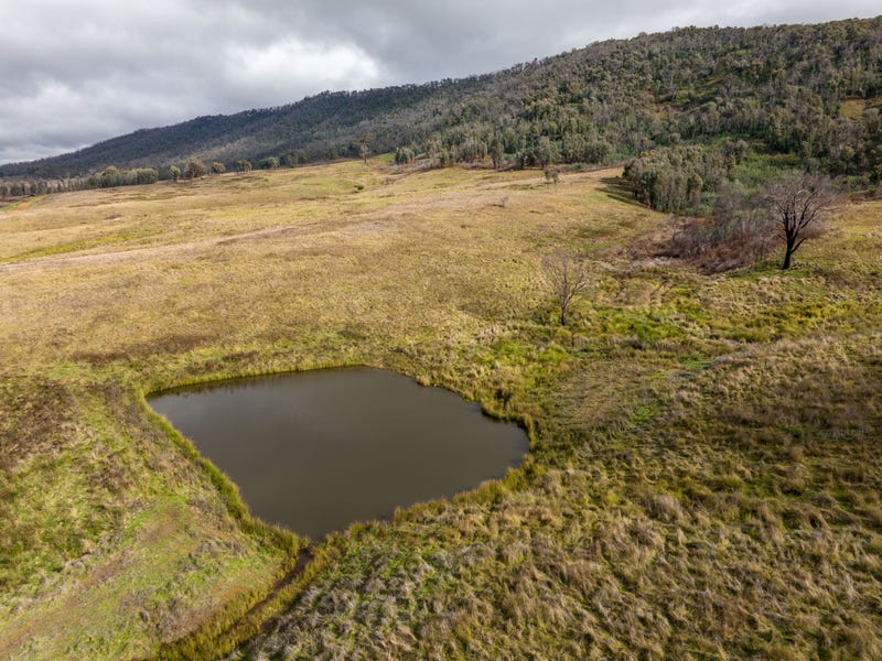 Real Estate & Property for Sale in Albury Greater Region, NSW (+2