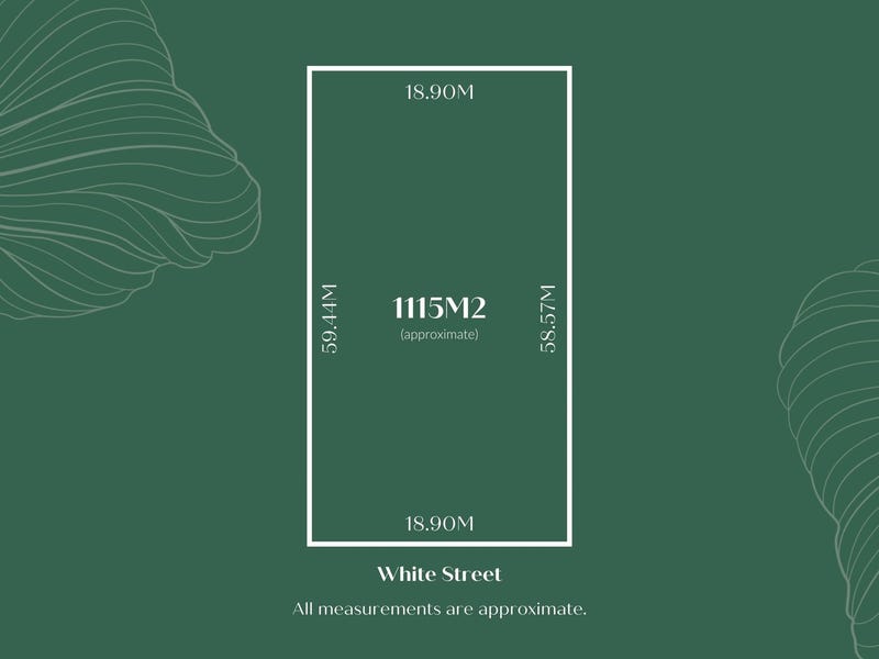 67 White Street, Henley Beach, SA 5022