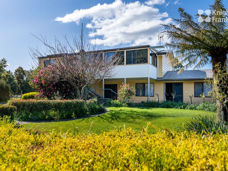 41 Ringarooma Road, Scottsdale, TAS 7260