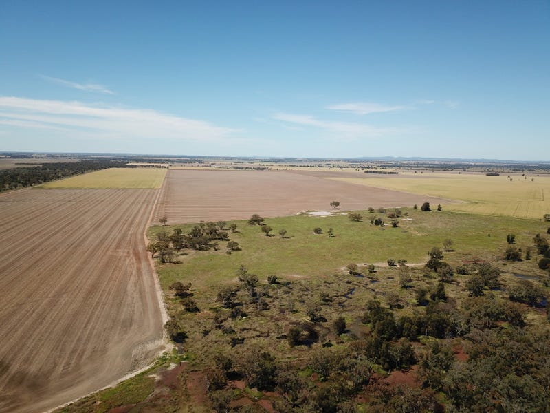 'Lockdale' 240 Raeburn Lane, Narromine, NSW 2821 Property Details