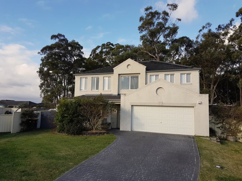 19 Silverwood Close, Medowie, NSW 2318