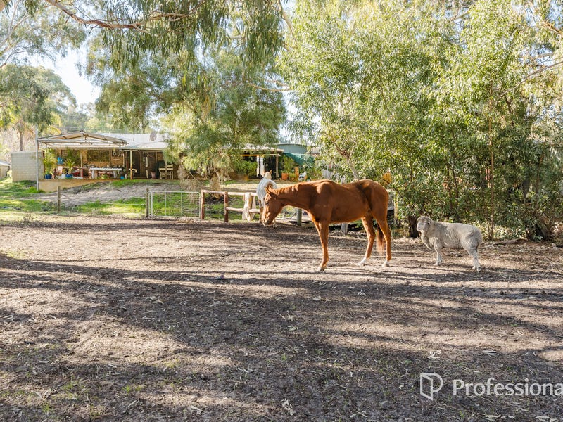 4 Bedroom Properties for Sale in Perth - Greater Region, WA Pg. 3 ...