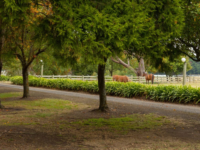 Real Estate & Property for Sale in Terang, VIC 3264