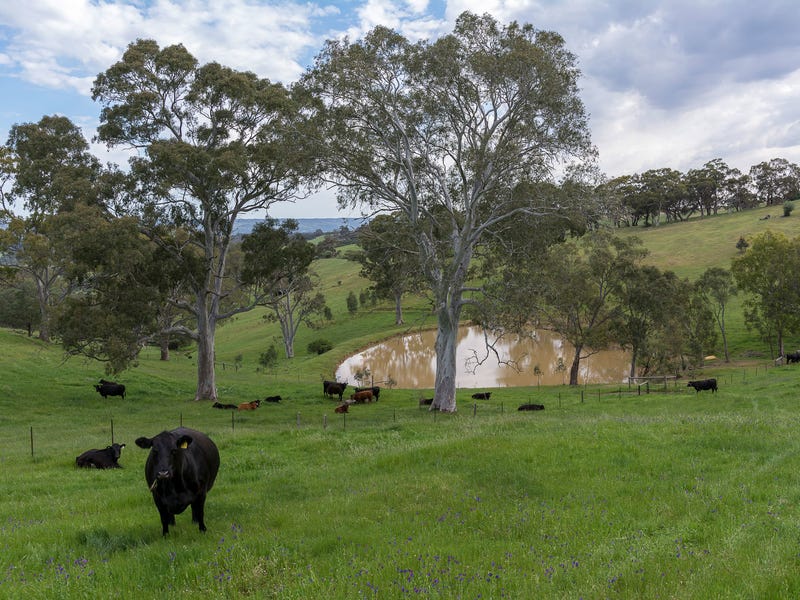 26 Lovick Road, Clarendon, SA 5157 Acreage for Sale