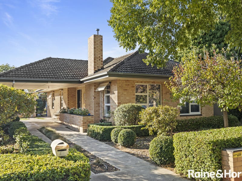 40 Ayers Avenue, Daw Park, SA 5041