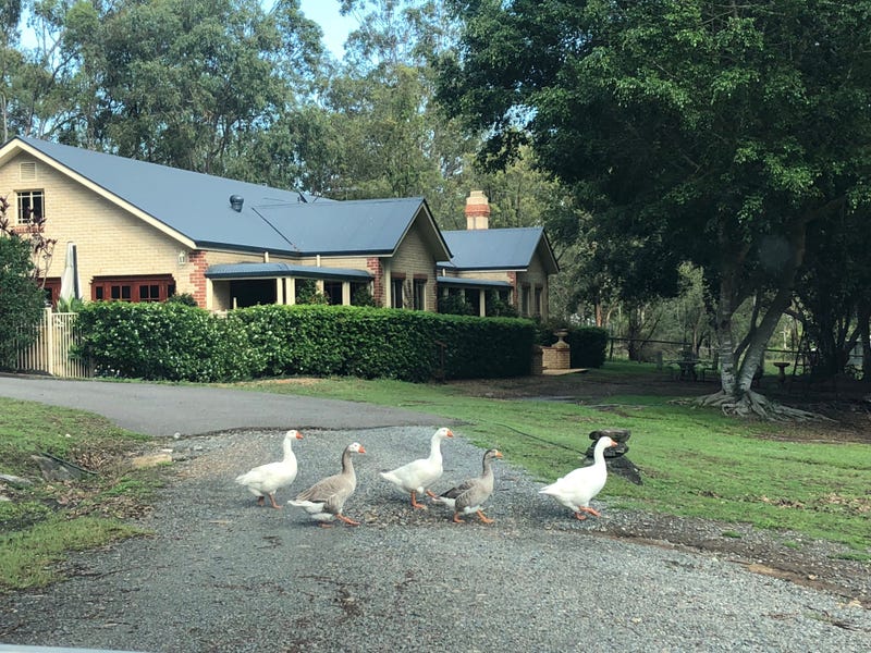 Real Estate & Property for Sale in Yatala, QLD 4207