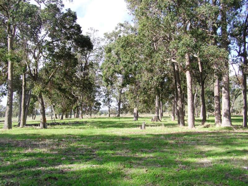 Lot 503 Garvey Road, Dardanup, WA 6236 Property Details
