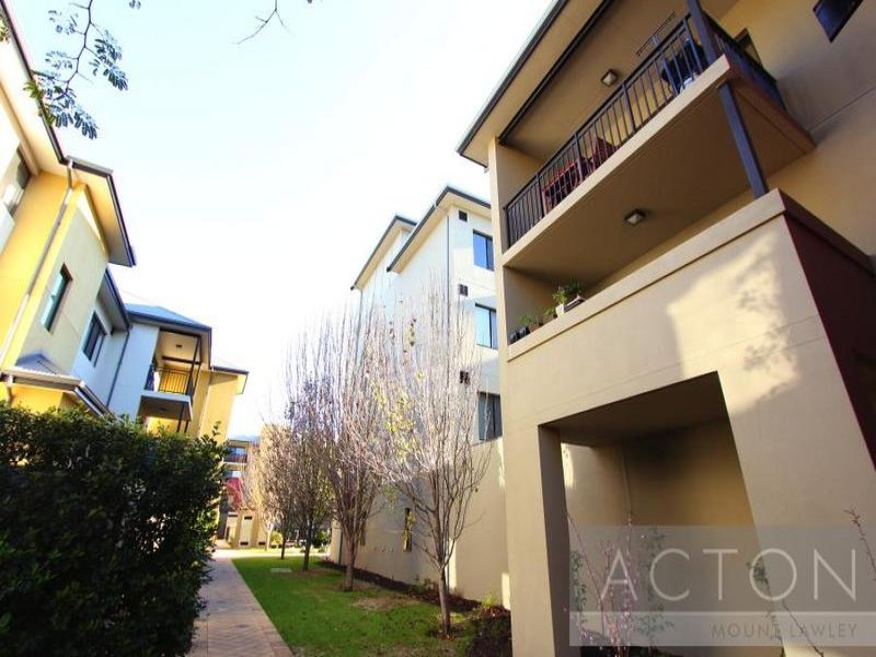 146-215-stirling-street-highgate-wa-6003-property-details