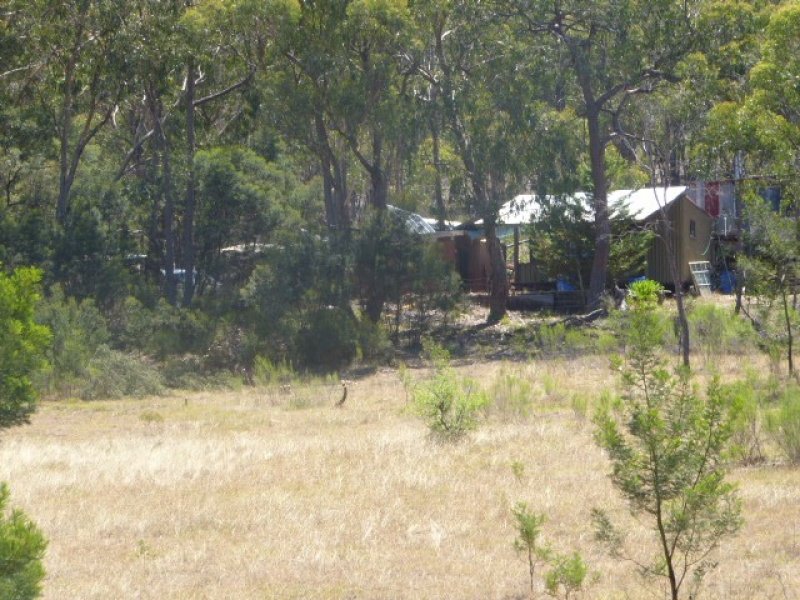 358 Carrick Road, Carrick, NSW 2580