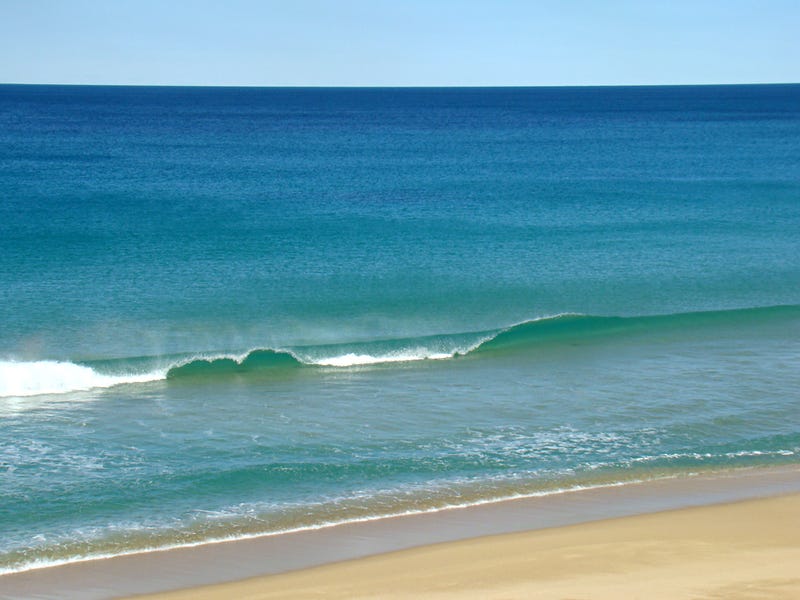 88 Red Rock Road, Red Rock, NSW 2456