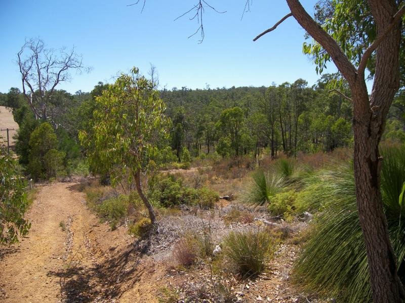 1245 Richardson Road, Hovea, WA 6071