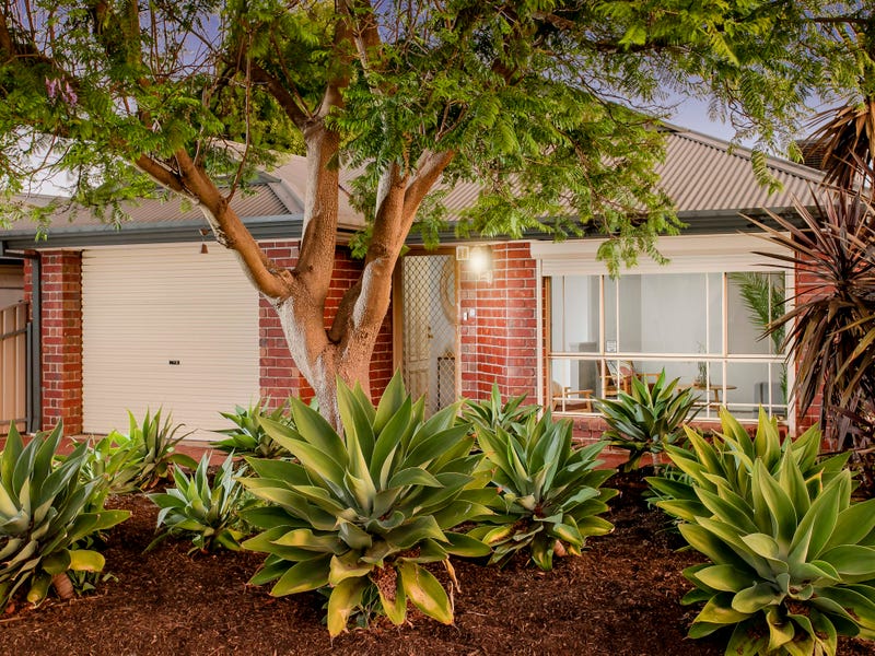 23 Jacaranda Grove, Golden Grove, SA 5125
