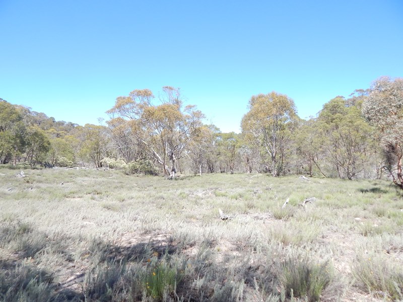Lot 129 Ashvale Rd, Adaminaby, NSW 2629 Property Details